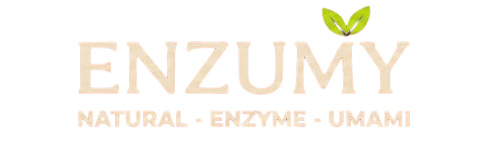 ENZUMY
