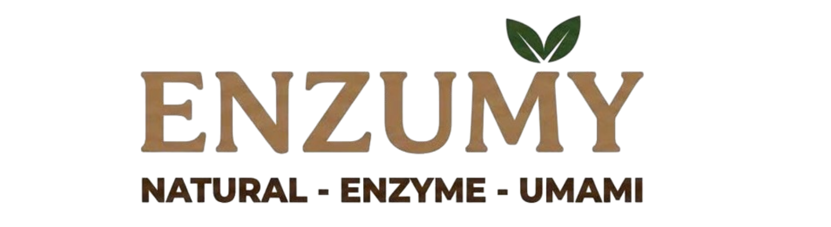 ENZUMY